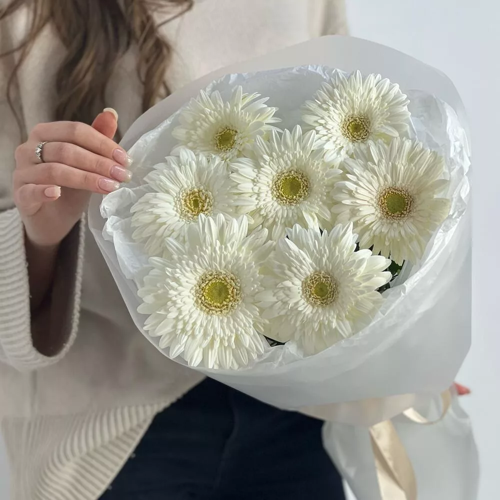 Bouquet of 7 white gerberas