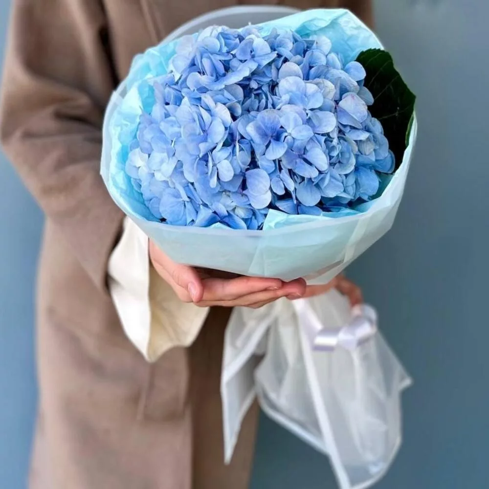 Bouquet of 1 light blue hydrangeas