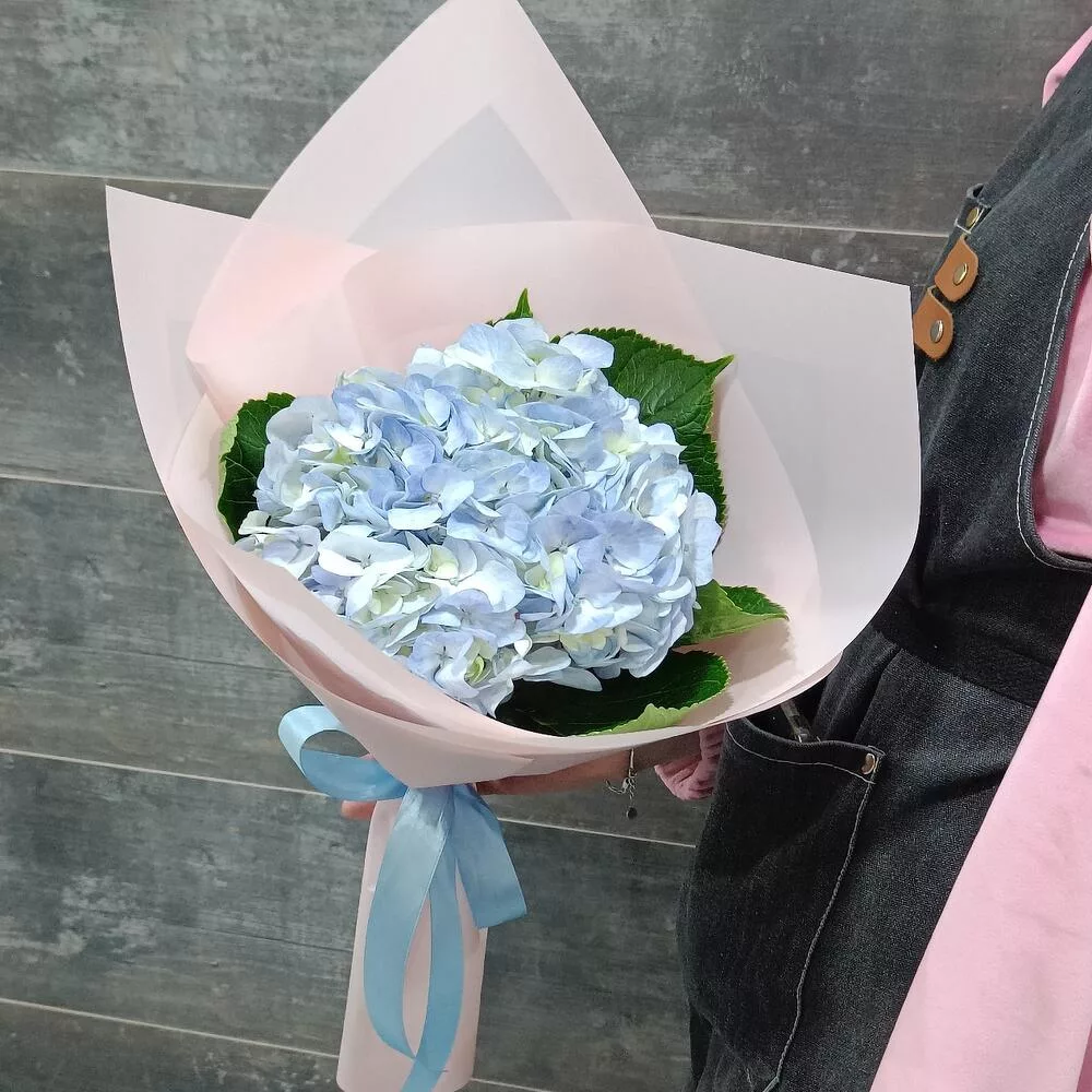 Bouquet of 2 light blue hydrangeas