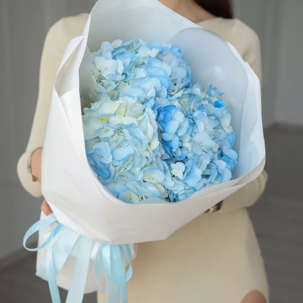 Bouquet of 3 light blue hydrangeas