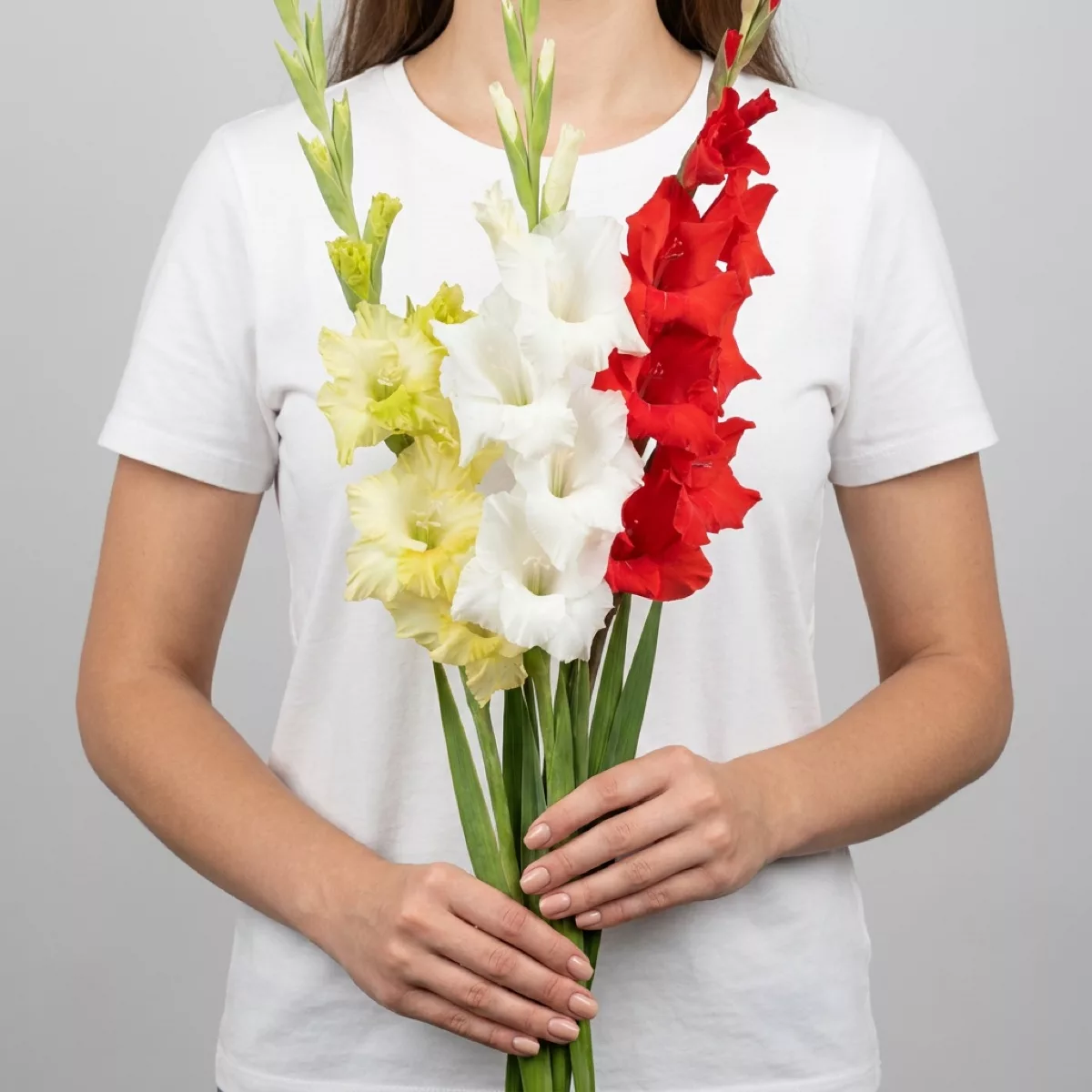 Bouquet of 3 gladioli mix