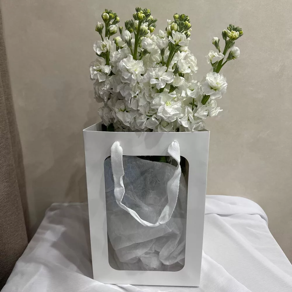 Bouquet of 9 white matthiola