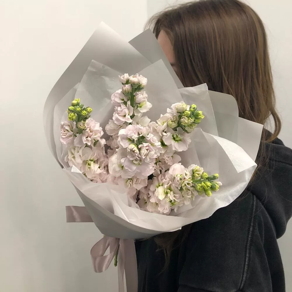 Bouquet of 5 pink matthiola