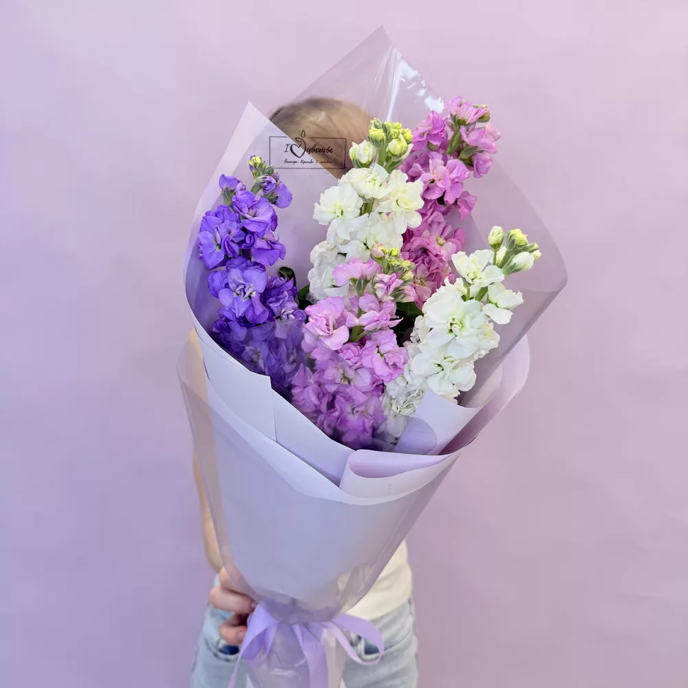 Bouquet of 5 matthiola mix
