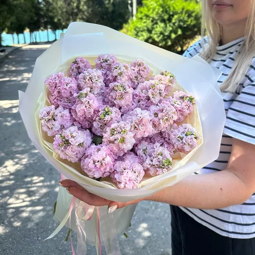 Букет живых цветов из 21 фиолетовых маттиол