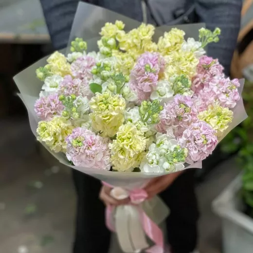 Букет живых цветов из 29 маттиол микс