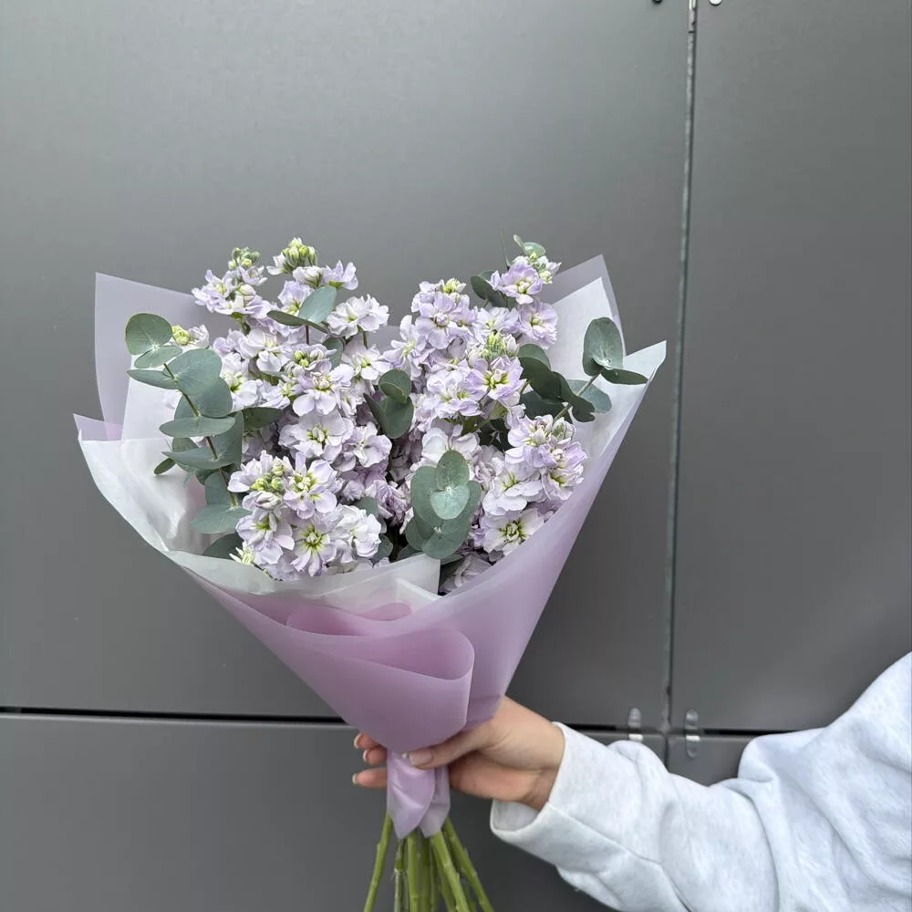 Bouquet of 6 purple matthiola