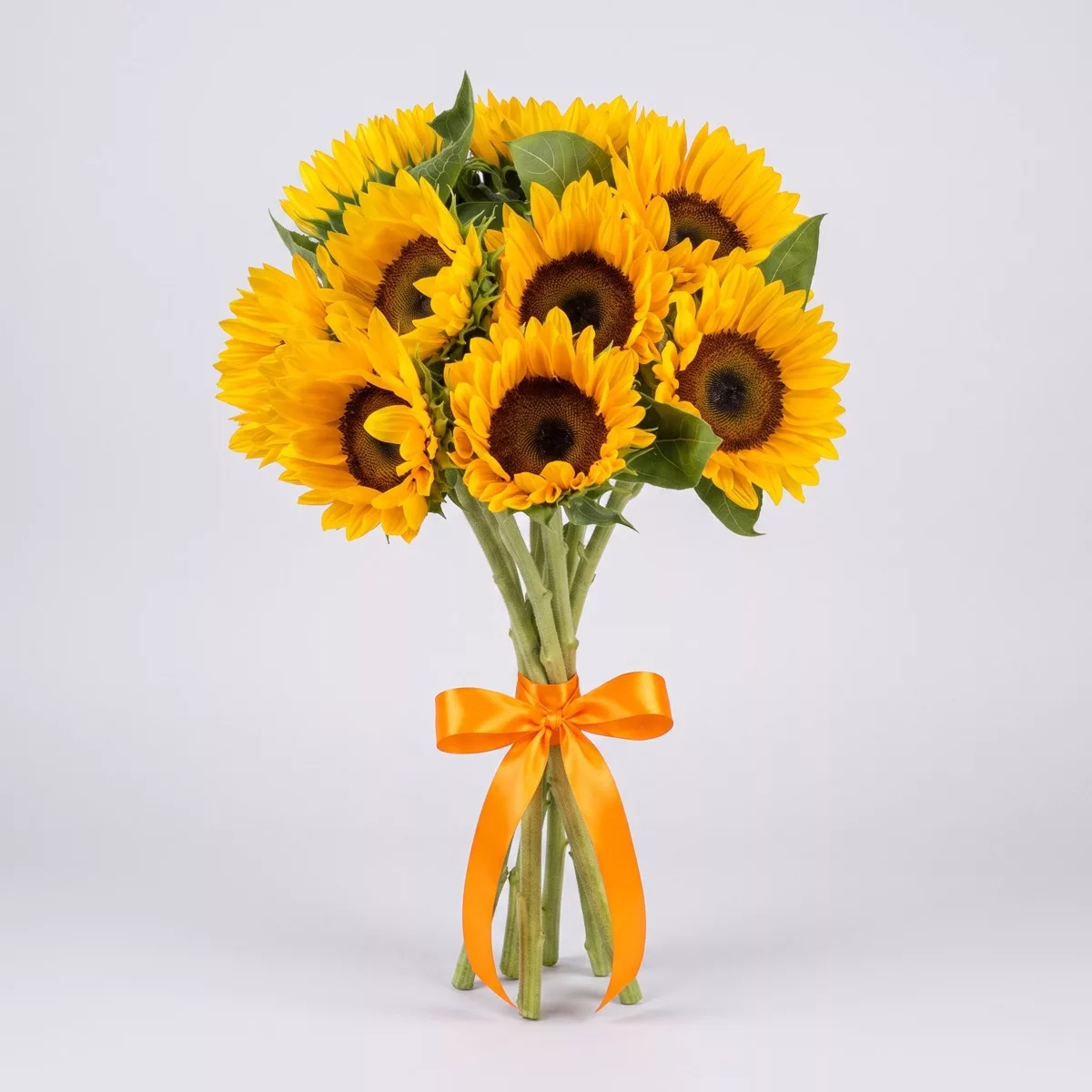 Bouquet of 9 yellow sunflowers