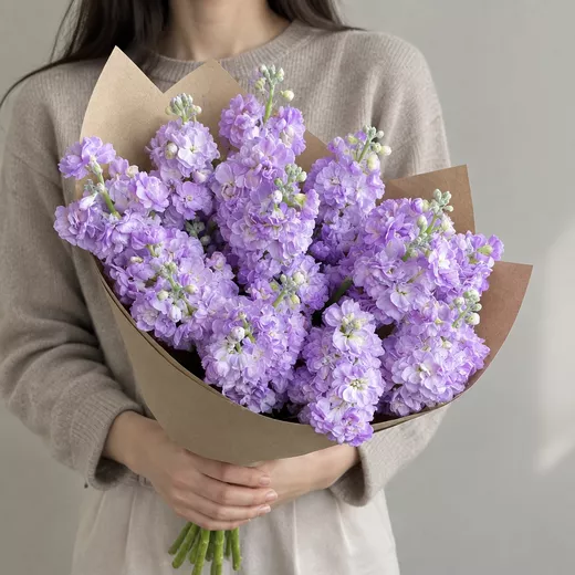 Букет живых цветов из 11 фиолетовых маттиол